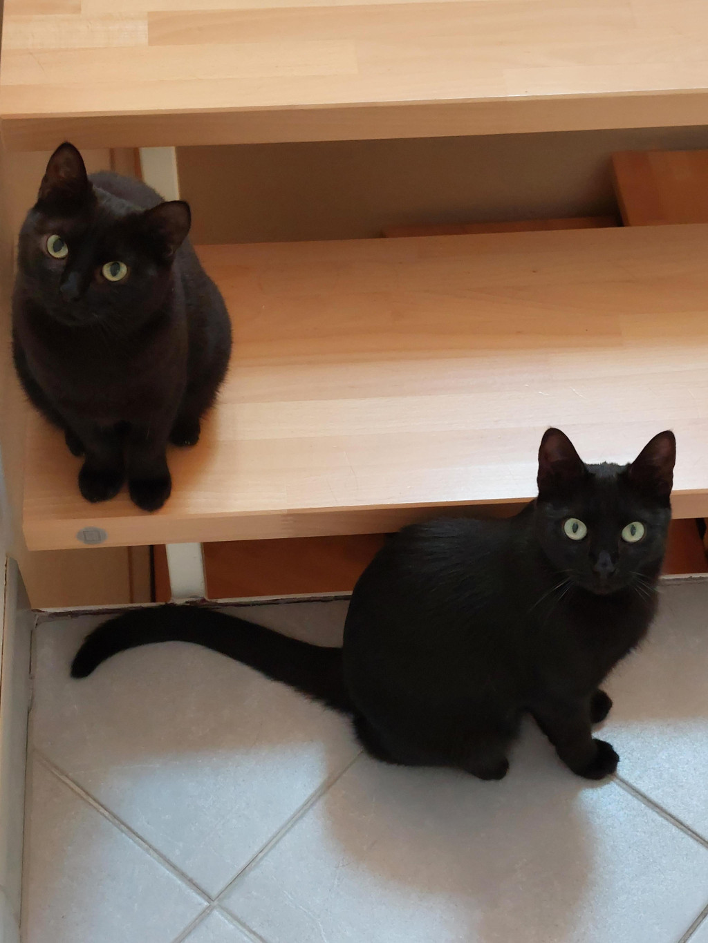 Melli & Mora