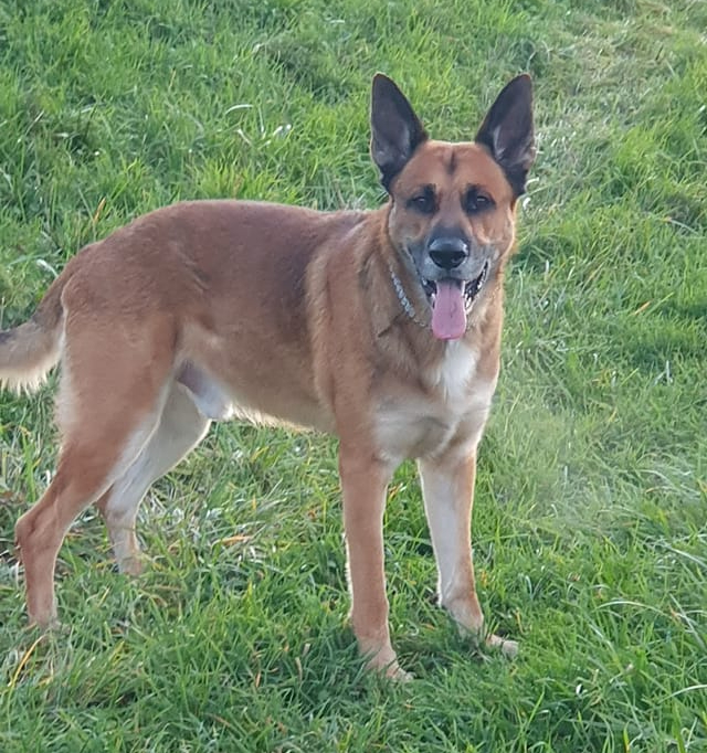 Tyson