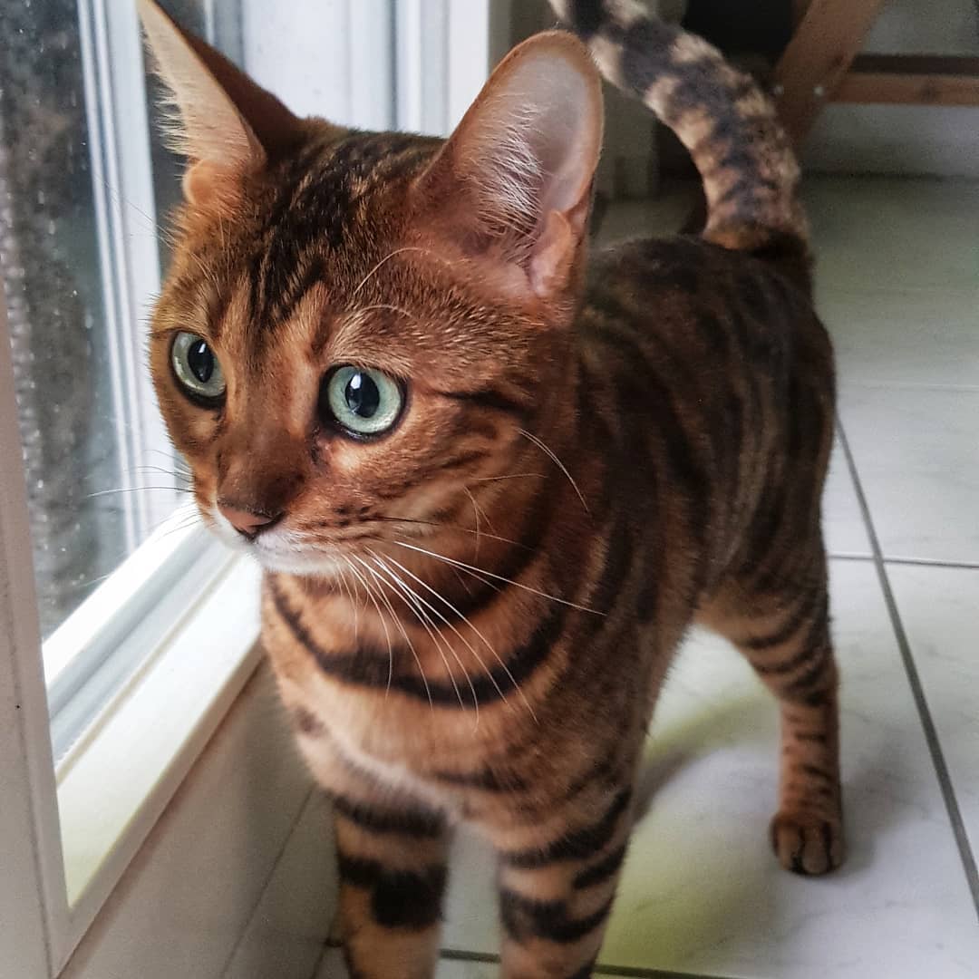 Ruby