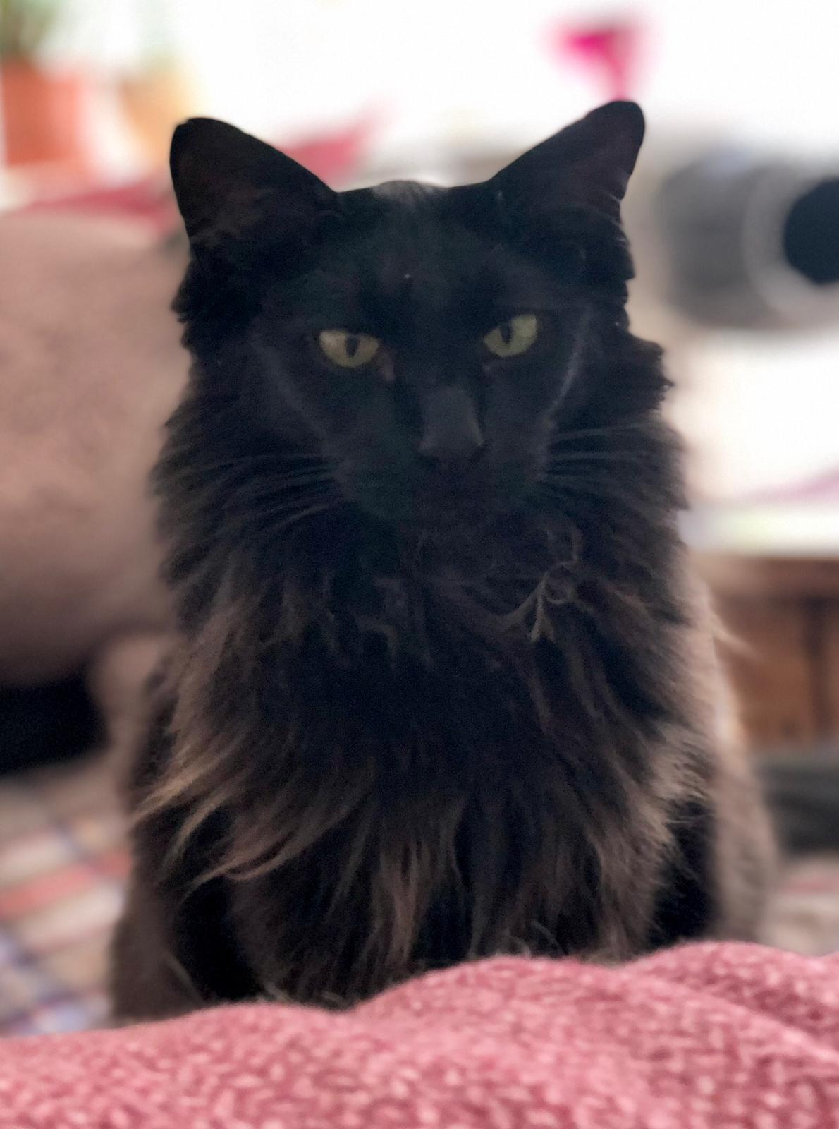 Greta