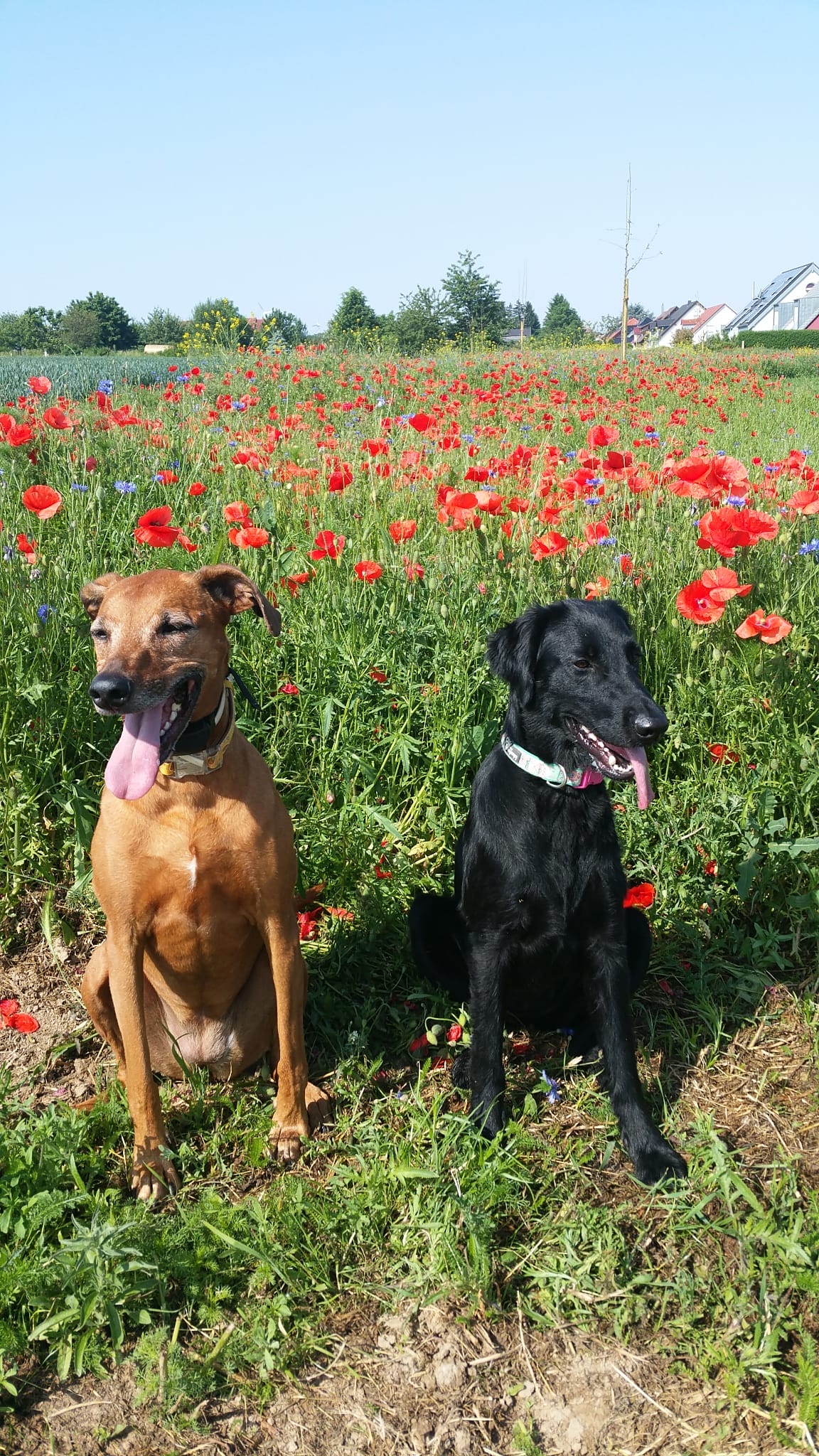 Skara & Anouk