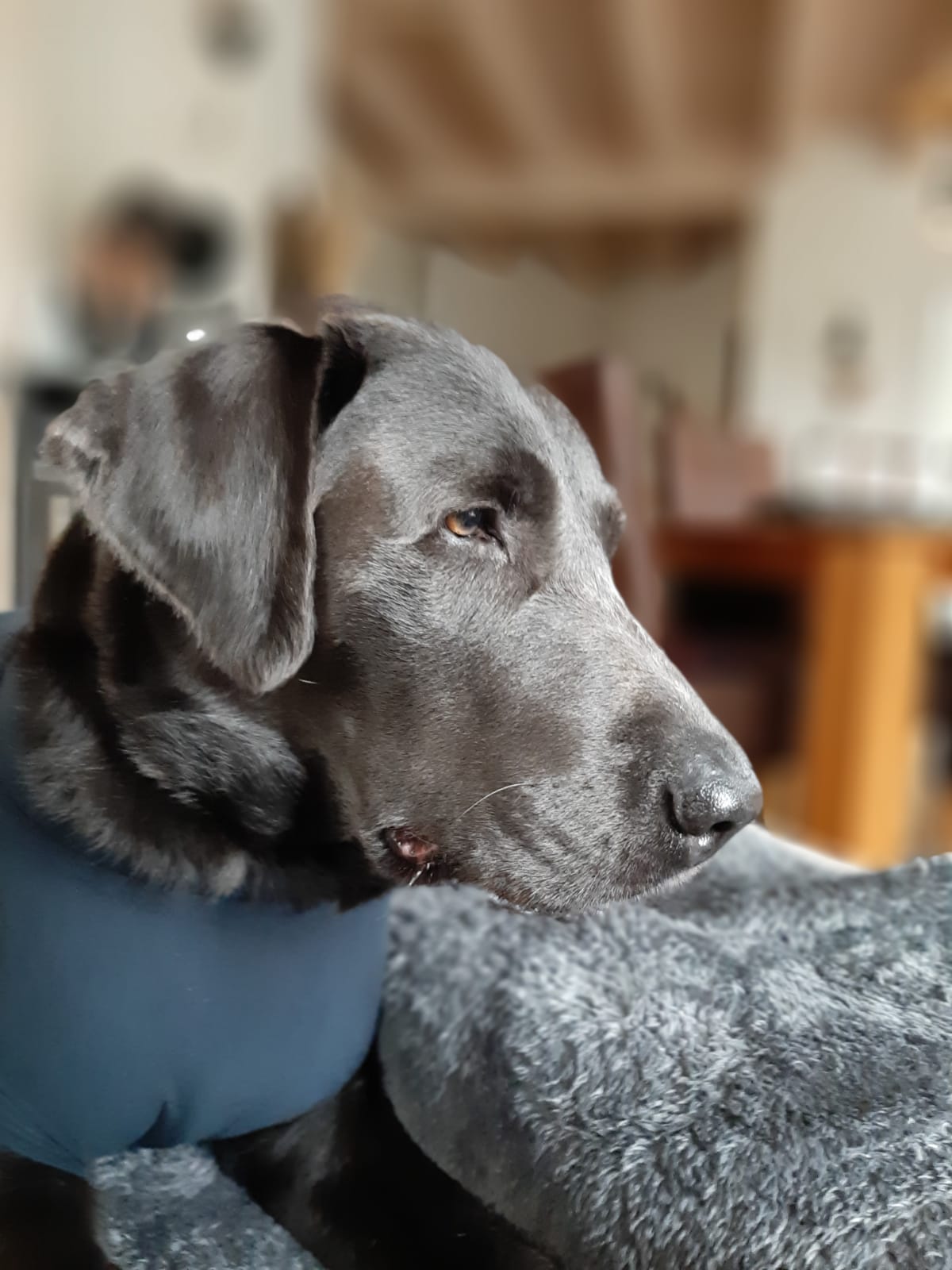 Samu