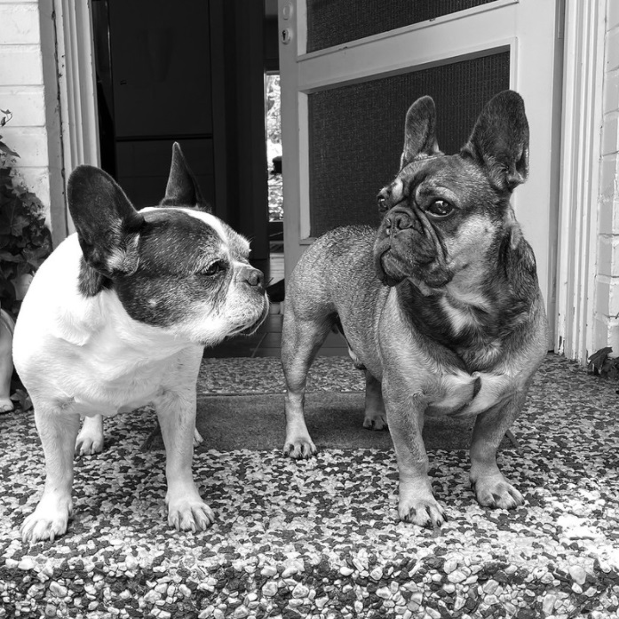 Lola & Teddy